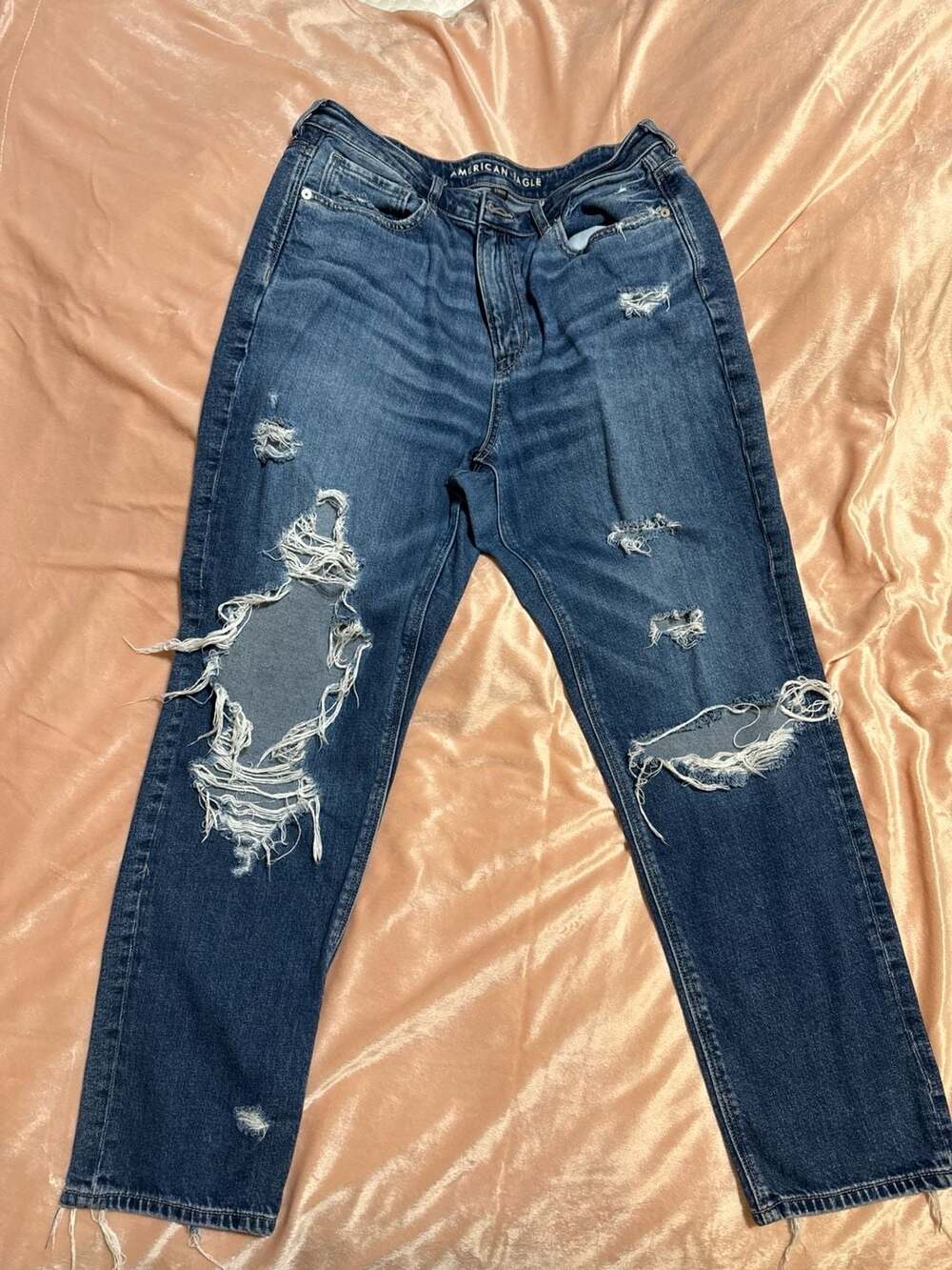 American Eagle Real Good Distressed Mom Jean with Floral Embroidery Size 12
